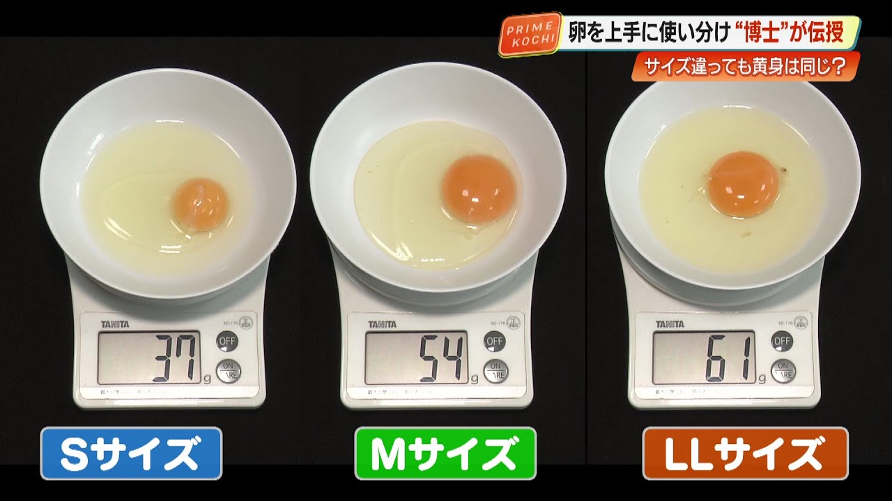 ホット 販売 Sサイズ
