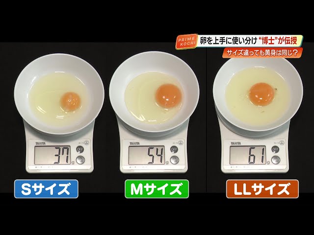 エムサイズ エムサイズ
