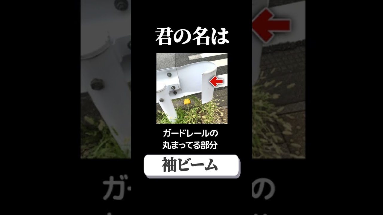 君の名は 意外と知らない名前のやつ集めてみた Shorts Youtube