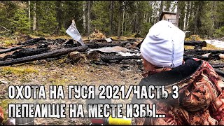 Охота на гуся в Республике Коми 2021/Пепелище на месте нашей избы/Первые выстрелы/Часть 3