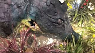 Rainforest Cafe Croc Having a Bad Time