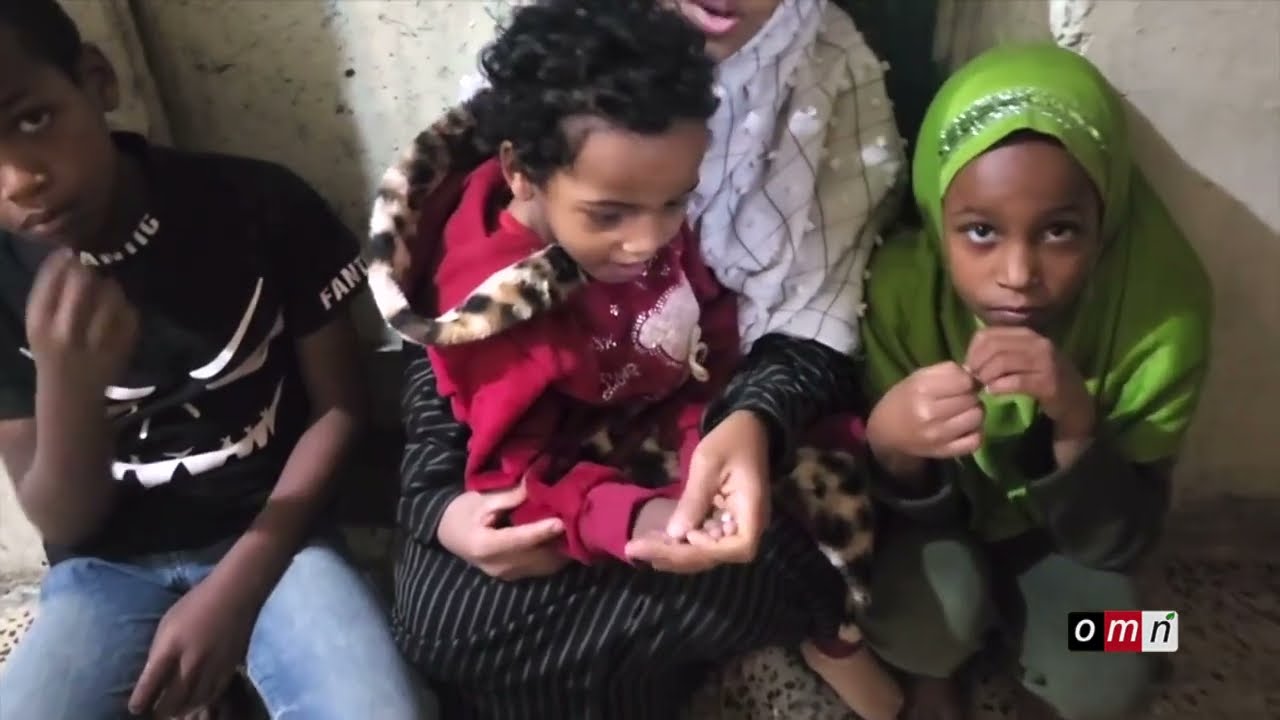 OMN: Faana Baqataa; Jiruu Baqattoota Oromoo Yaman  Bit  7, 2026