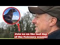 Weekly vlog flying a rocrow  the last day of the falconry season golden eagle harris hawk