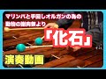 【演奏＆解説】動物の謝肉祭「化石」#マリンバ #サンサーンス #没後100年