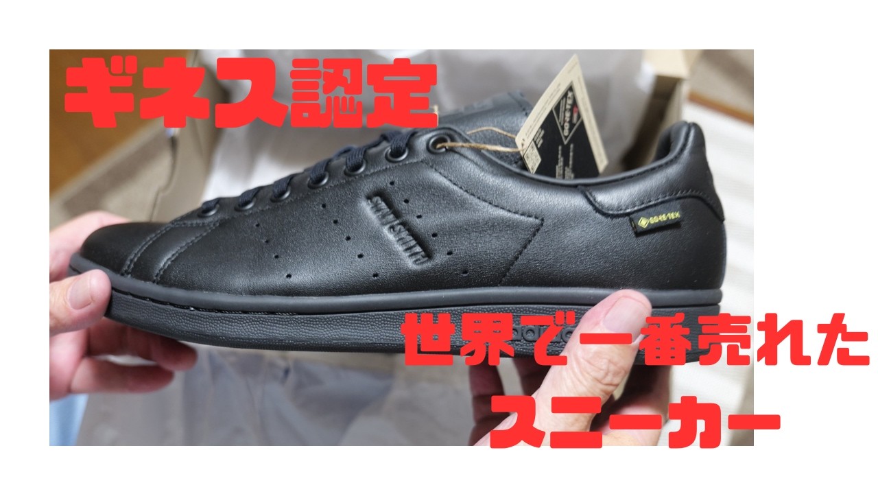 The Story of How I Stumbled into a Strange World with adidas Stan