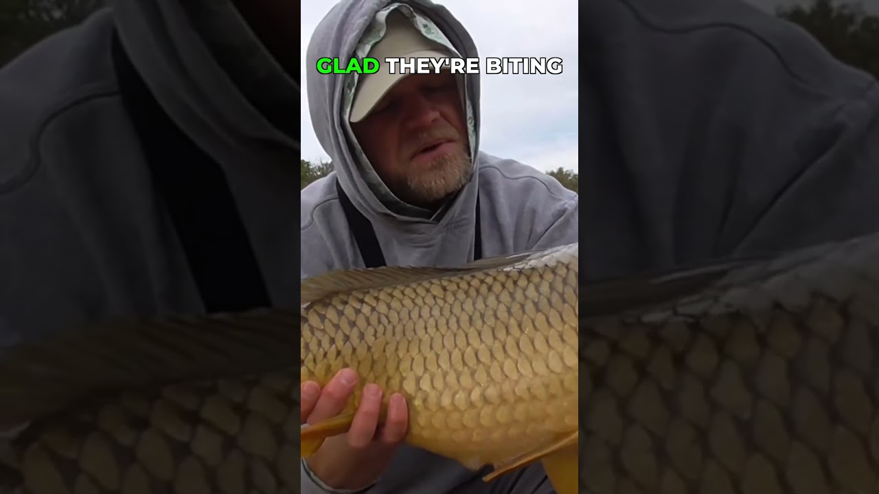 Myth busted: The truth about 'big fish bait'