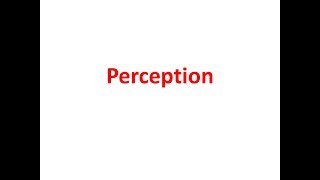 Perception