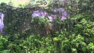 Danao Suislide Trip 1