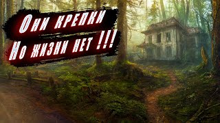 :     ,      !!