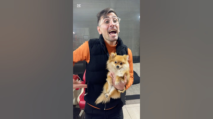 حلاق للكلاب 🐶 في تركيا😂 #shorts