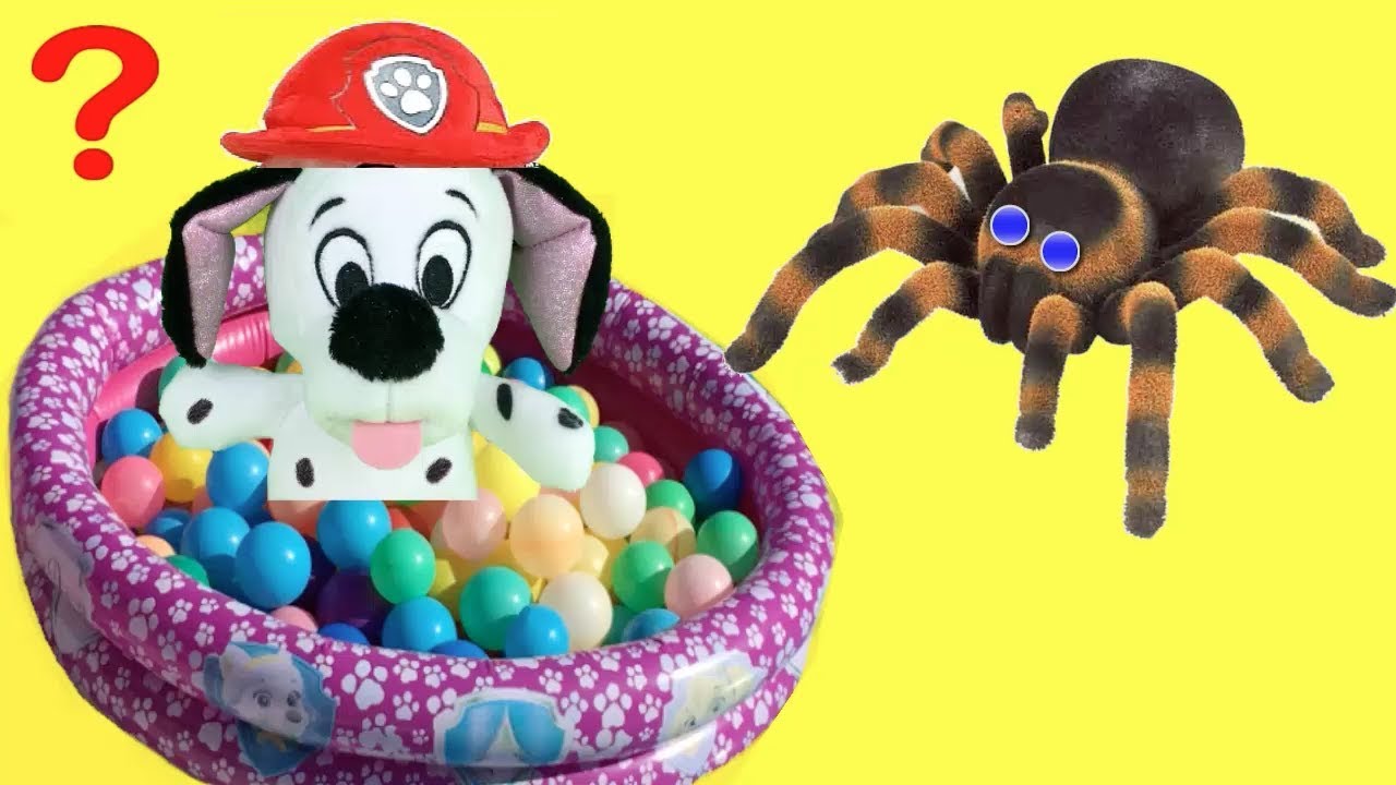kids anka Patrulla canina al rescate de Chase y Marshall de paw patrol en piscina de bolas.Videos de juguetes
