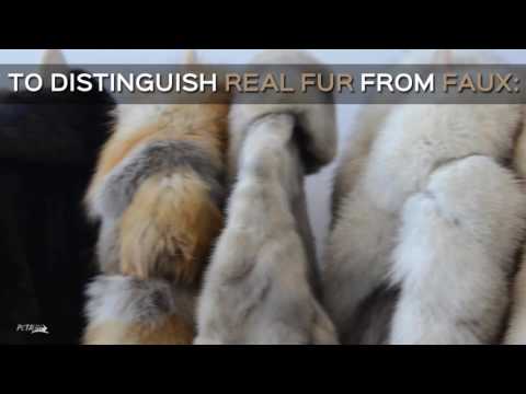 How to Tell the Difference Between Faux and Real Fur