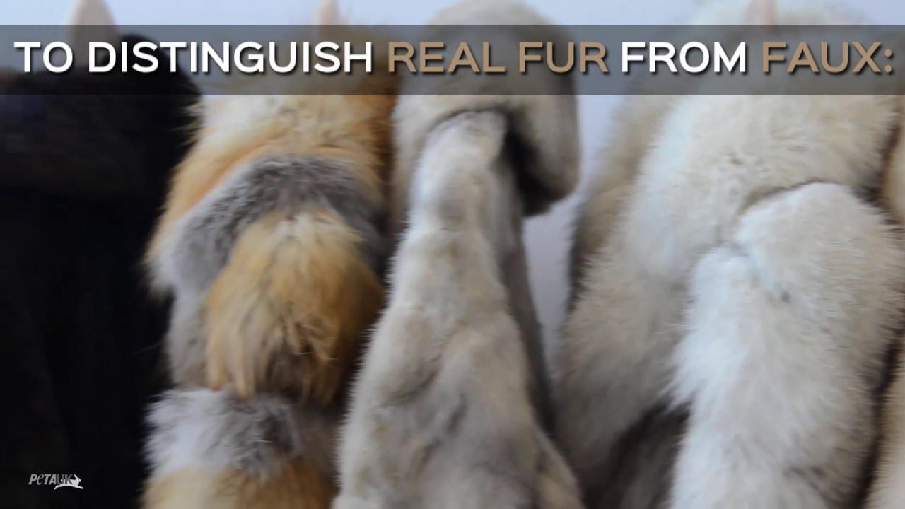 Faux Fur vs Real Fur: What's the Difference? faux fur vs real fur