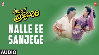 Nalle Ee Sanjege Song | Aahaa Brahmachari Kannada Movie |Anil,Arthi | Raj-Koti |KV Reddy,Sri Chandru