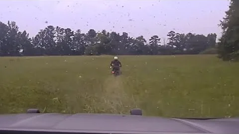 Sovereign Citizens Are Amazing