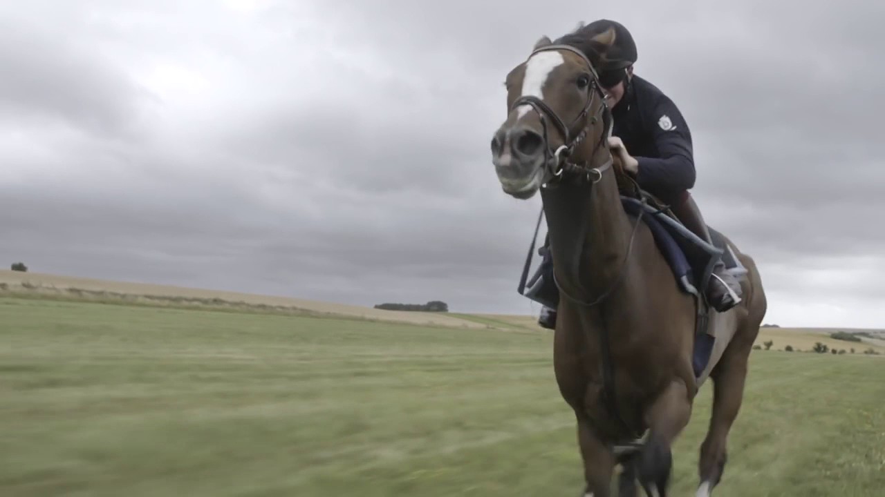 ❤ Just Like Fire ❤ Equestrian Music Video ❤