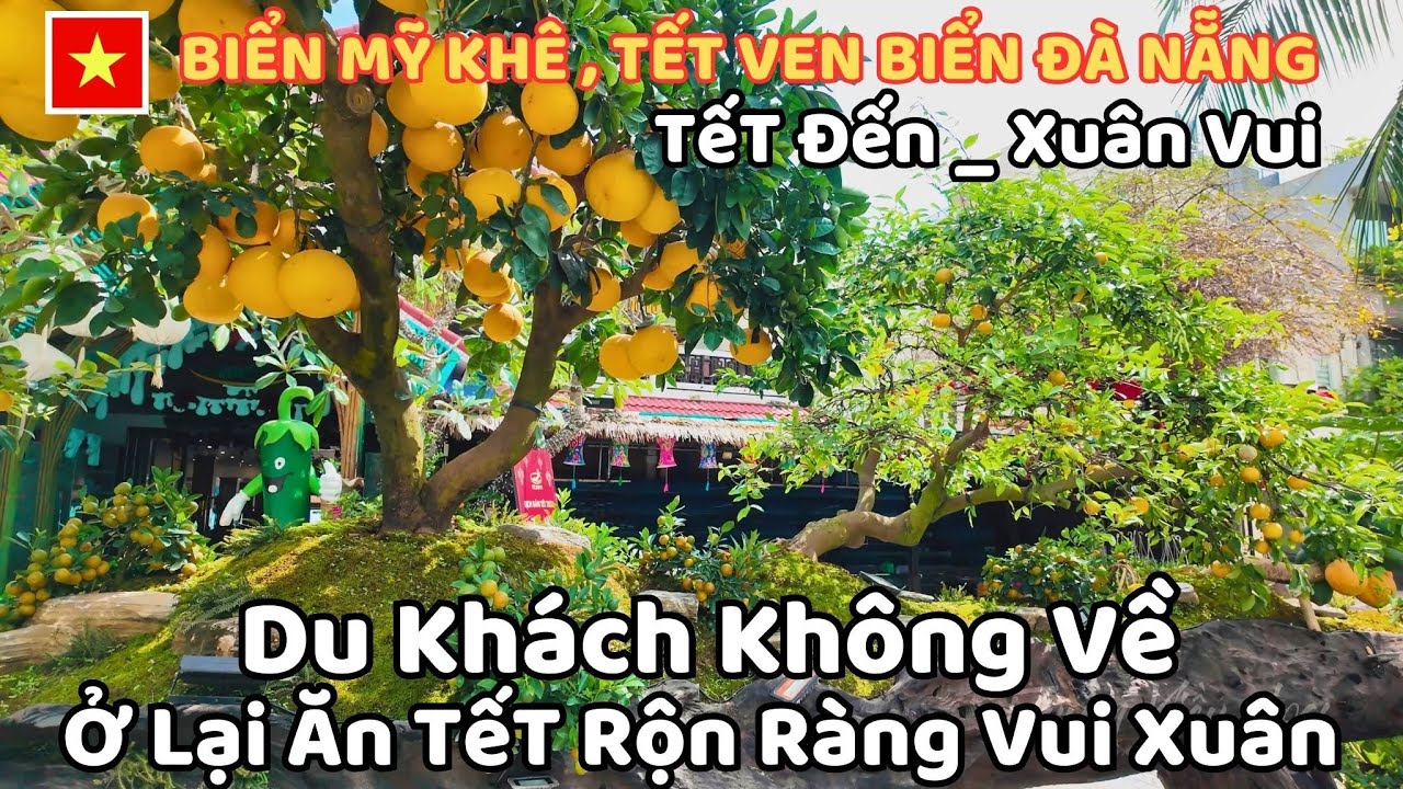 Biển Mỹ Khê , TếT Ven Biển Đà Nẵng , Du Khách Không Về Ở Lại Ăn TếT Rộn Ràng Vui Xuân