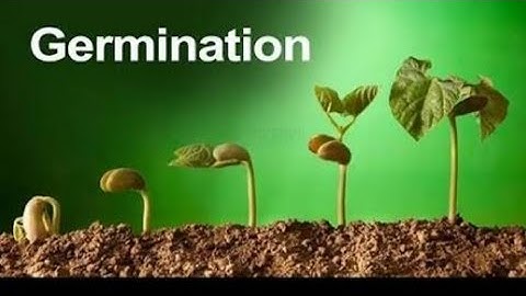 Basic Science - 5 STD