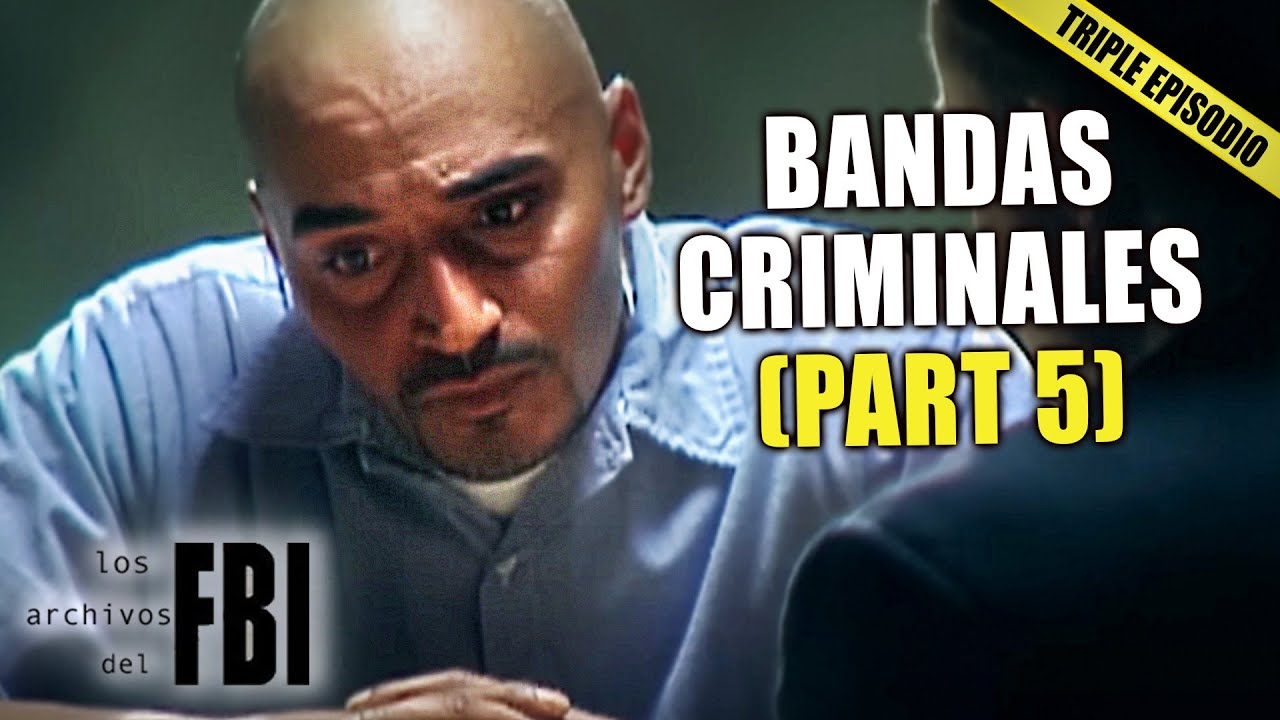 Bandas Criminales En Los EE.UU (PARTE 5) | TRIPLE EPISODE | Archivos Del FBI