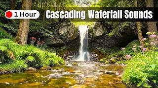 Neural Recovery 🧠 Soft Piano & Cascading Waterfall Sounds for Deep Sleep | 1 Hour Soft Relax Music screenshot 3