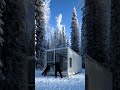 Trapped With a Wild Gray Wolf in Snow Forest 🐺#shortsfeed #shortvideo #aivideo