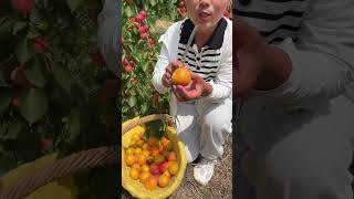 Agriculture Village Fresh Fruit #Viral #Fruit #Shorts #1017