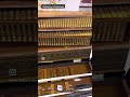 Professional 9 Scale Changer 3 Set NS Reeds Harmonium. Booking & Kindly Call/WhatsApp +91 9832342906