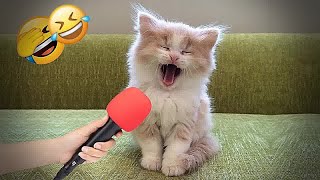 🙀😹 Funniest Cats and Dogs Videos ❤️🐱 Funny Animal Videos 2024 #8