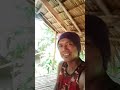 #buhaybukid #buhayprobinsya #bahaykubo #travel #nicethoto #brgytagumpay #realquezon