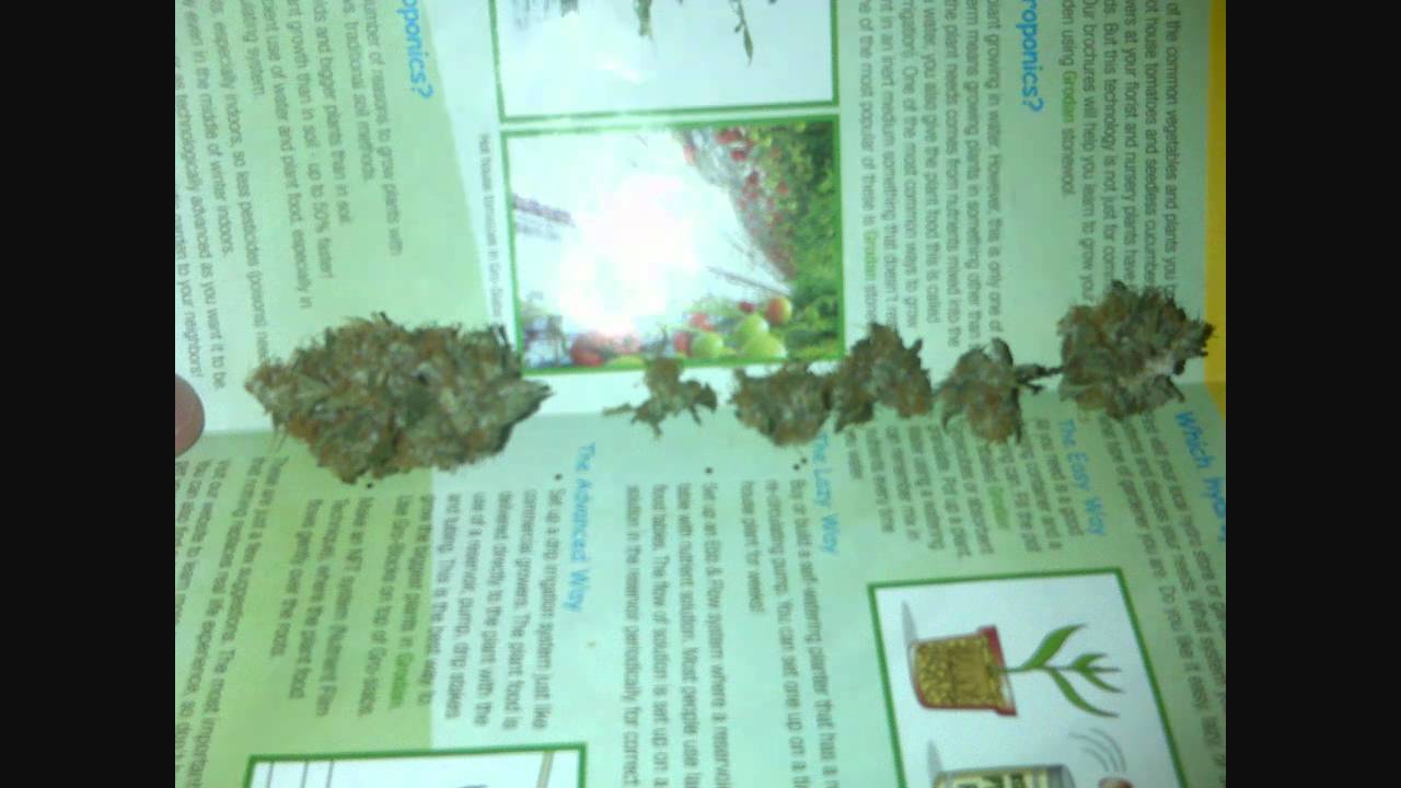 First Grow BlackBerry Slideshow