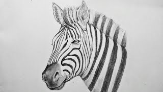 How To Draw A Realistic Zebra Time Lapse Drawing Of Zebra With Pencil Shading Shading Tutorial