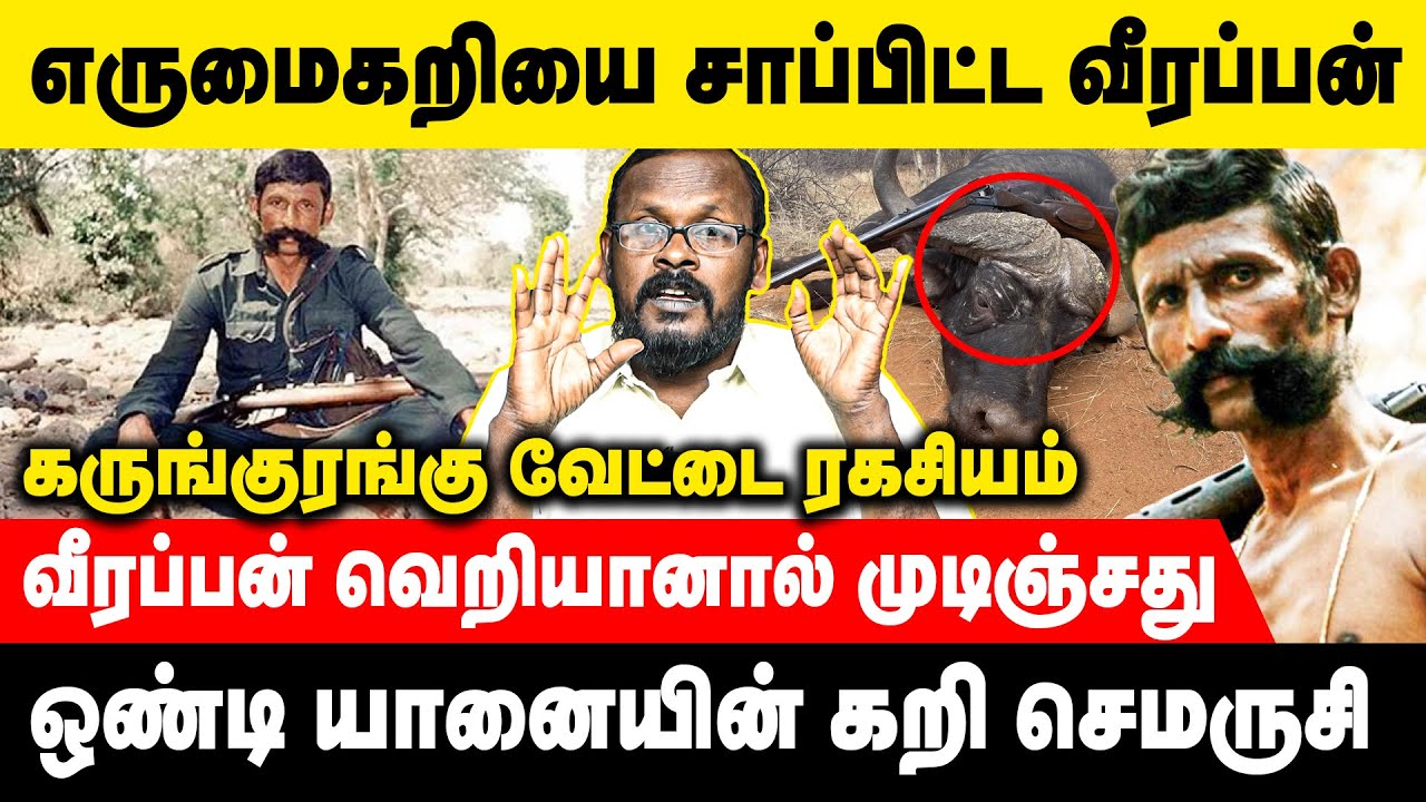 அடர்ந்த காட்டிற்குள் வீரப்பனின் வில்லங்கமான வேட்டை நுணுக்கங்கள் | Mugil | Voice of Law