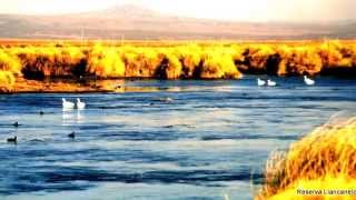 Laguna Llancanelo. Malargüe. tema Leo Rojas. Watch Over My Dreams.