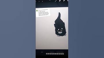 create cat animations from viewers