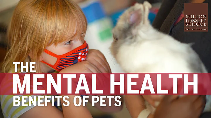 How Pets Teach Responsibility and Promote Wellness—Milton Hershey School