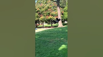 Arrma outcast 8s exb double backflip