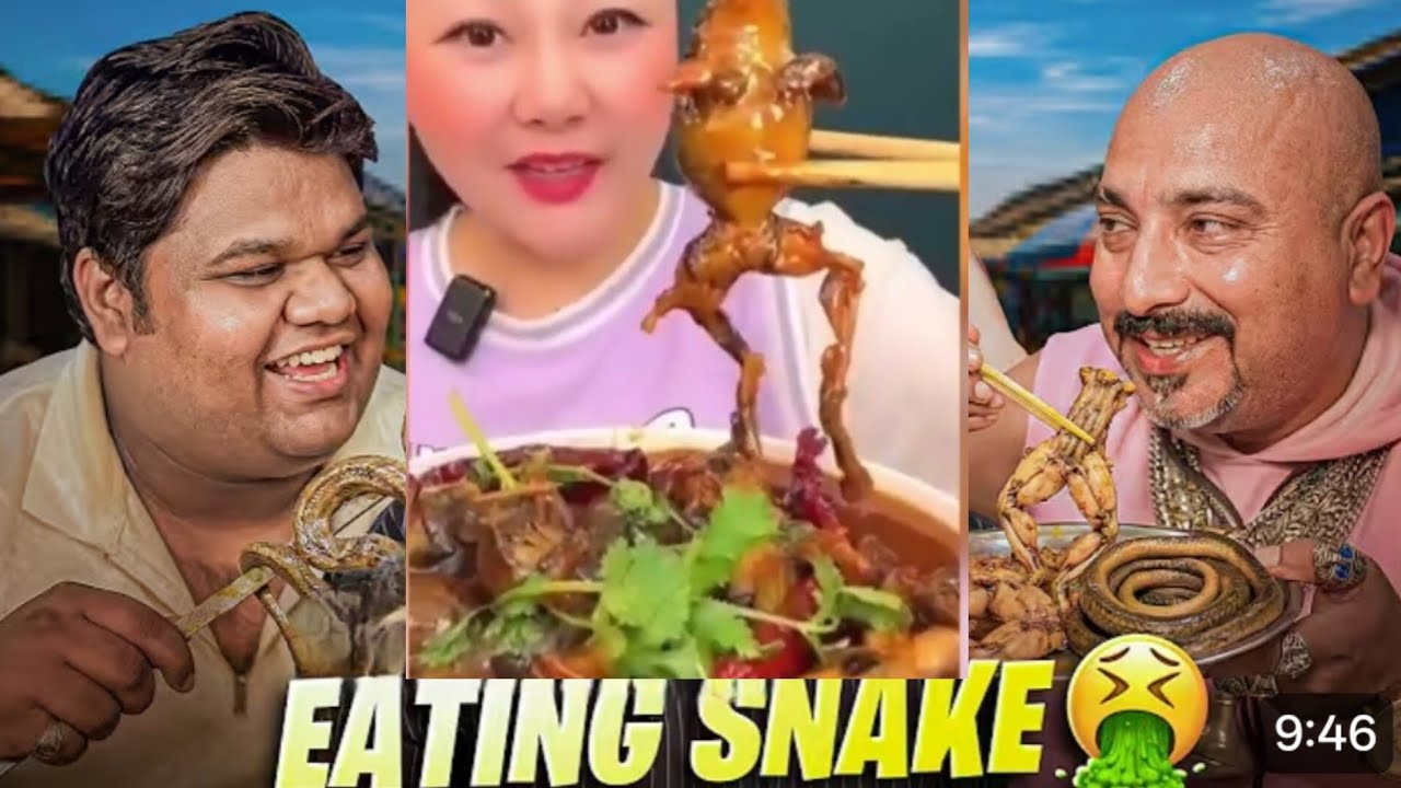 World Best Food Eating Snake, Frog & 🐸🤮 Food Vlogger Roast 