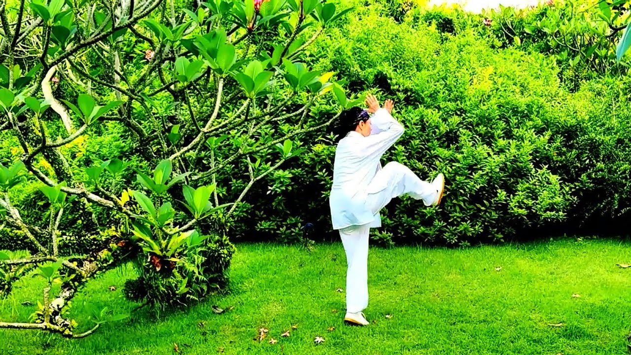 《太極拳》内功:一身“開合”全在胸腹,太極之道,一氣貫通,全在胸腹摺叠運化 - YouTube