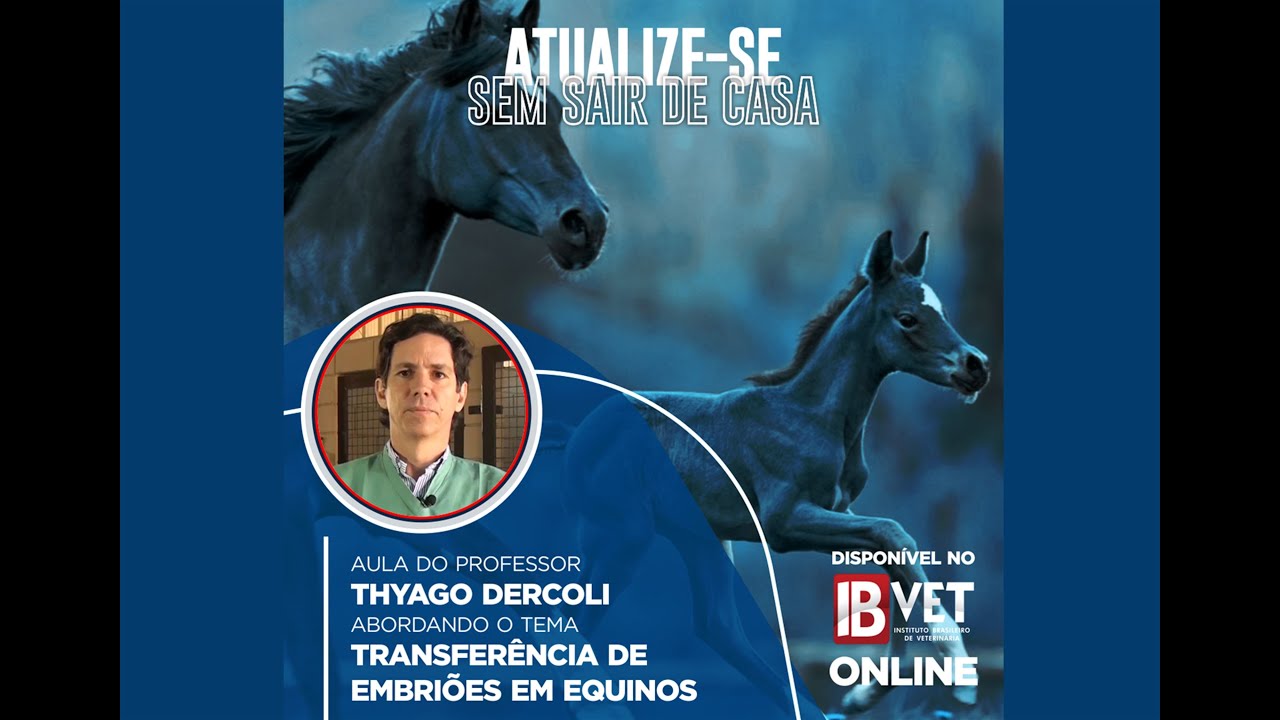 Transferência de Embriões em Equinos | Curso completo online