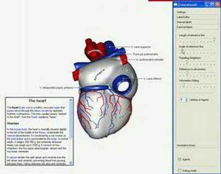Agent-Based Annotation of Interactive 3D Visualizations