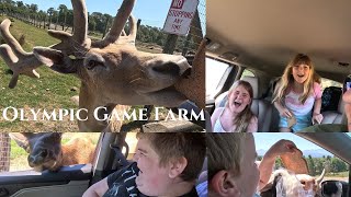 Olympic Game Farm Adventure - Animals, Kids and Craziness!