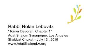 Tomer Devorah, Chapter 1