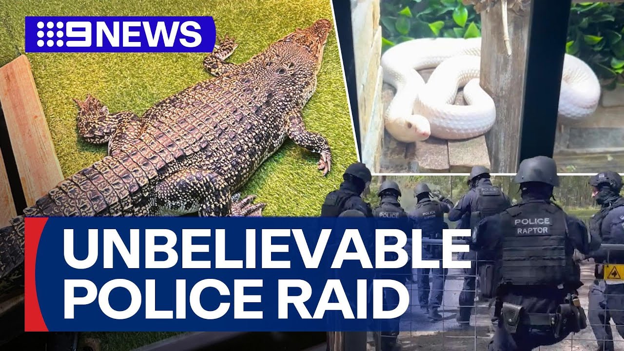 Shocking police raid uncovers exotic reptile farm and cannabis lab | 9 News Australia