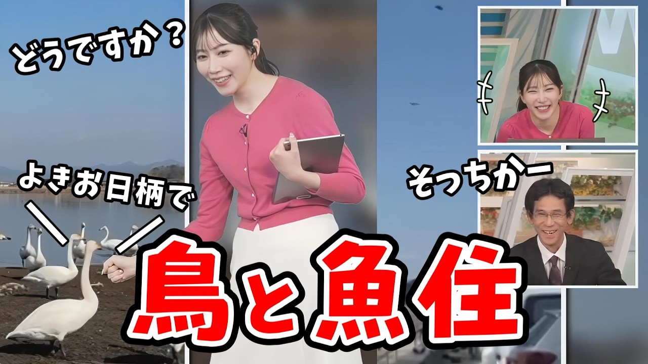 【魚住茉由・山口剛央】「鳥」をネタにまゆワールドを繰り広げる茉由ちゃん【ウェザーニュース切り抜き】