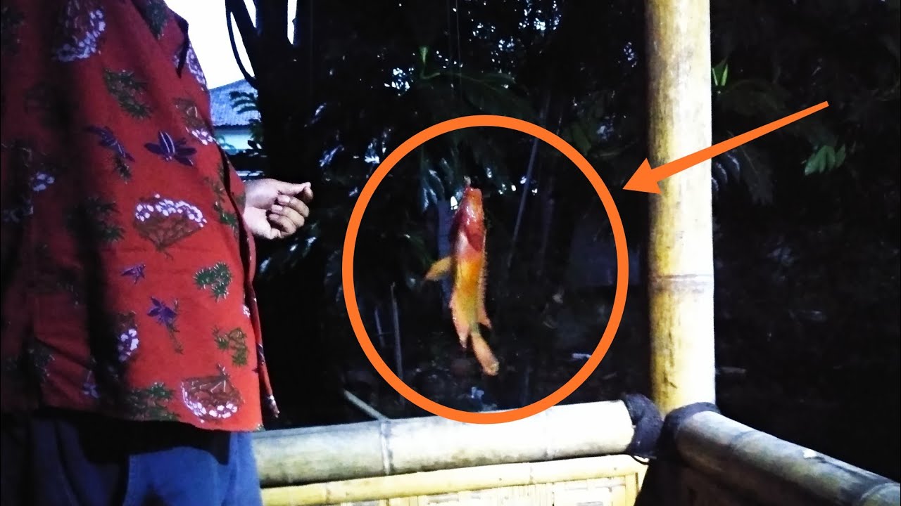 Mancing Ikan Nila spot Angker di Malam Hari Umpan Cacing