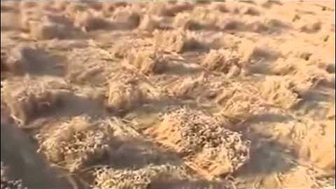 2012 Alien Message: Most Important Crop Circle event 2002