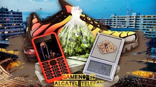 Gambino 36 - Alcatel Telefon