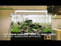 Iwagumi - How to Aquascape with rocks