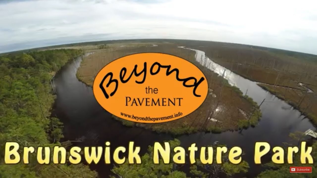 Hiking Leland, NC Brunswick Nature Park YouTube