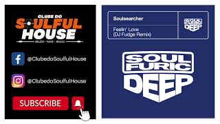 Soulsearcher - Feelin' Love (DJ Fudge Extended Remix) Resimi